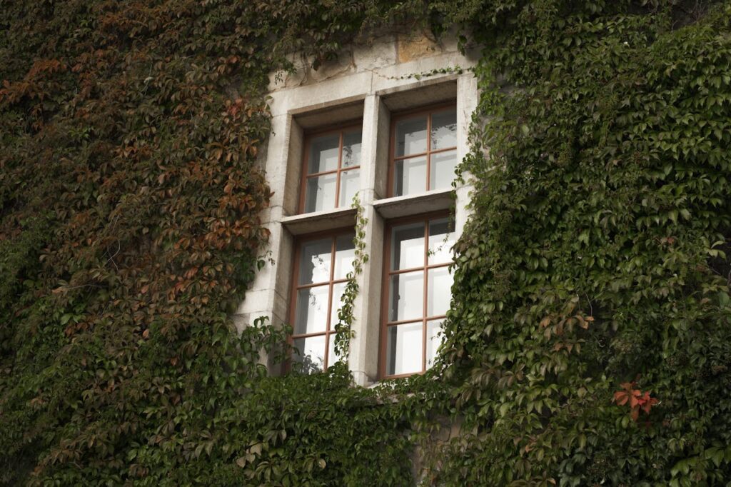 green wall/vertical garden // cpnursery.in